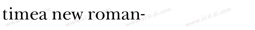 timea new roman字体转换